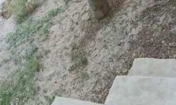 Imagem 6: Casa a venda Casa com 2 dormitórios