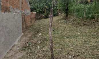 Imagem 4: Terreno Luis Alves 2