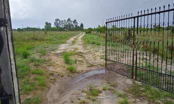 Imagem: SÍTIO REGIÃO DO BOM INTENTO