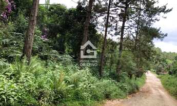 Imagem 7: Área 397.103 m², a 1,5 km da BR 116 São Lourenço/Juquitiba