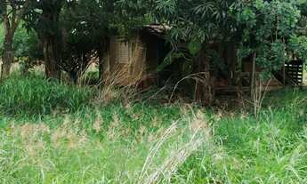 Imagem 3: Chácara com casa de 1 quarto