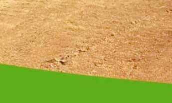 Imagem 7: Condições especiais só para hoje reserve seu terreno agora!