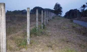 Imagem 5: Fazenda com 6.500.000m2 na AM-254 Careiro Castanho. Benfeitorias e Implementos Agrícolas