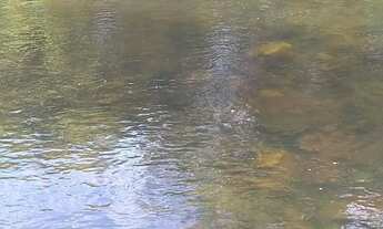 Imagem 6: CHÁCARA RIO URU