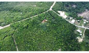 Imagem 3: Terreno à Venda Ramal Cláudio Mesquita (KM 3 da BR-174