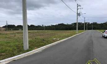 Imagem 6: Terreno à venda, 459 m² por R$ 490.000,00 - Vargem Do Bom Jesus - Florianópolis/SC