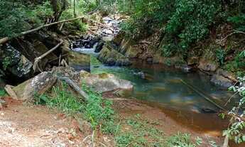 Imagem 2: Terreno rural com muita água