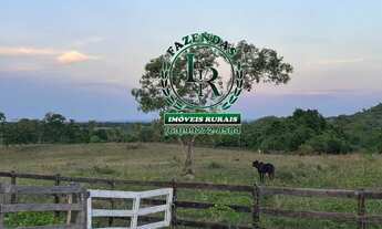 Imagem 2: Fazenda Próximo a Paraiso Tocantins