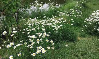 Imagem: VIALA UNIVERSITÁRIA - ÓTIMA KITNET