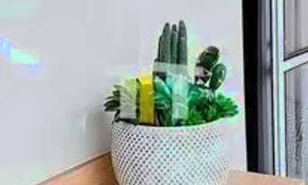 Imagem 5: Apartamento de 60m² com 2 dormitórios, sendo 1 suíte em Franca/SP