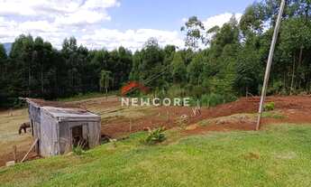 Imagem 3: Chácara em Estrada Geral da Batingueira - Recosta - São Francisco de Paula/RS