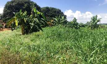 Imagem 6: Chácara em Varjão/GO