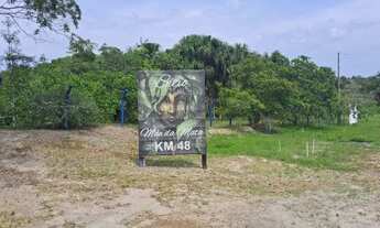 Imagem: Sítio no Km 48 da Estrada de Novo Airão