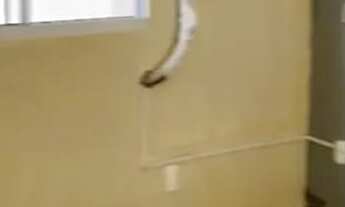 Imagem 2: Repasse apt Apartamento com 2 dormitórios