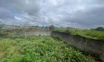 Imagem 2: Terreno Residencial Disponível para Venda no Tomba