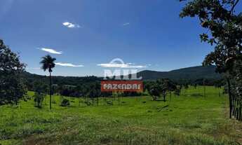 Imagem 7: Sitio 19 alqueires (91,96 hectares) Jandaia - Go