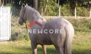 Imagem 6: Chácara em Estrada Santo Izidoro da Lagoa - da Lagoa - Itapecerica da Serra/SP