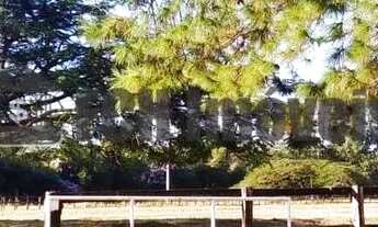 Imagem 6: Haras no Chapadão em Porto Feliz