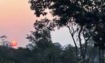 Imagem: Terrenos para venda com 1000 metros quadrados