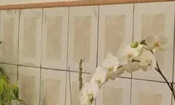 Imagem 2: Casa em Rua Franco da Rocha - Cidade Jardim - Campinas/SP