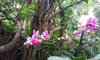 Imagem 7: Hospedagem na Ilha Grande (Abraão) - Angra dos Reis (RJ
