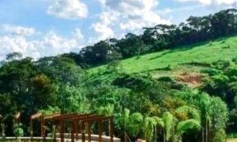 Imagem 3: Pomar da lagoa - Lagoa Santa