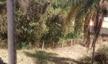 Imagem 4: LINDO TERRENO EM SOUSAS