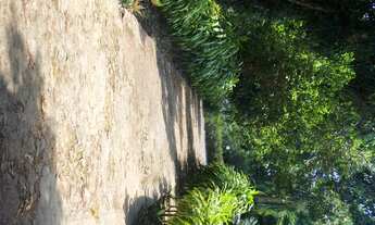 Imagem 3: Chácara Bairro Socopo - Estrada Da Cacimba Velha - Area 200x200