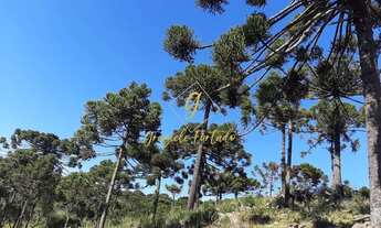 Imagem 3: TERRENO RURAL COM VISTA PRIVILEGIADA NO MUNÍCIPIO DE URUPEMA - SC
