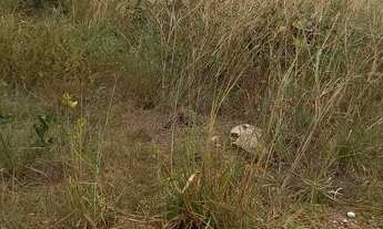 Imagem 4: Lote/Terreno para venda possui 1405 metros quadrados em Santa Rosa - Cuiabá - MT