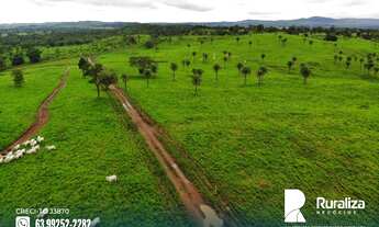 Imagem 4: Fazenda com solos de altíssima fertilidade natural situada na região de Abreulândia-TO