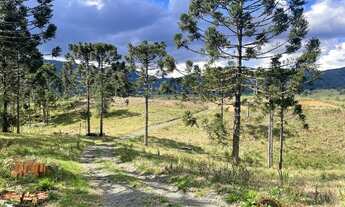 Imagem 2: Sítio na Serra Catarinense