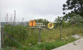 Imagem 4: CAXIAS DO SUL - Terreno Padrão - Vila Verde