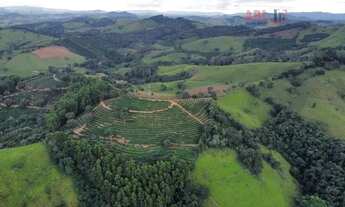 Imagem 6: Fazenda para Venda em Centro Pouso Alegre-MG - 3237