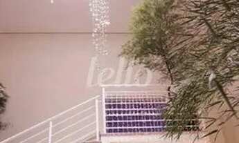 Imagem 5: Santo André - Prédio Inteiro - Campestre