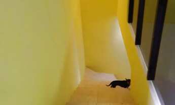 Imagem 6: Imóvel Casa com 4 dormitórios