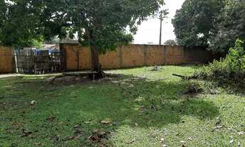 Imagem 2: Lindo Terrenão de 5000 m : com ônibus na porta