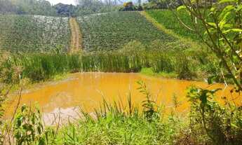 Imagem 5: Excelente Chácara em São Bento de Urania ,com 30.000mts2