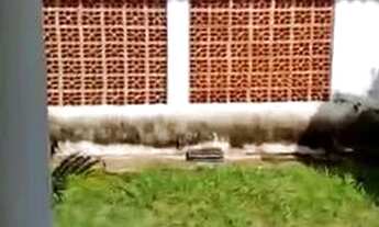 Imagem 6: Casa - Jardim Adhemar de Barros - Campinas