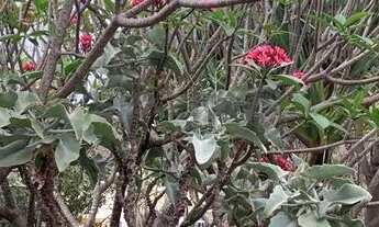 Imagem 3: Casa - Village Visconde de Itamaracá - Valinhos