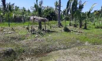 Imagem 3: Dois Terrenos 10x30 na estrada da Raposa