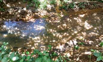 Imagem: Chácara 1.790mt com Ribeirão/76.000/ energia