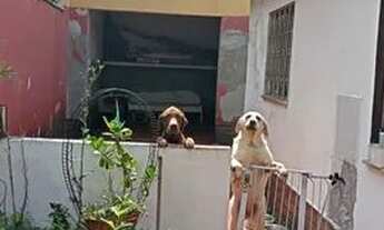 Imagem 5: CASA TERREA - RUA TOTALMENTE RESIDENCIAL