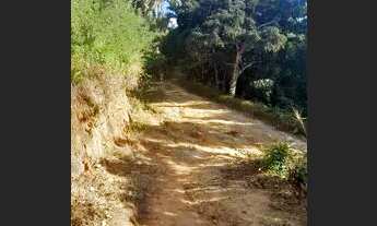 Imagem 4: Sítio Chácara com venda por R$70.000