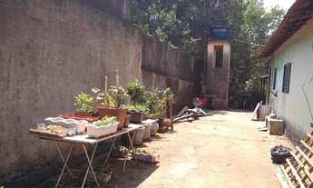 Imagem 2: área - Vila Hollândia - Campinas