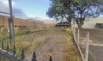 Imagem 3: Terreno Área em São José do Rio Preto