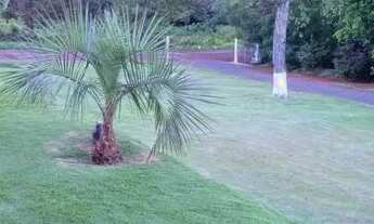 Imagem 3: Indústria em Centro Três Barras do Paraná-PR - 3114