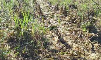 Imagem 3: Terrenos Em Atibaia Parcelamos Sem Juros Invista Em Terreno Em Condominio. AG1-::xC10sQ