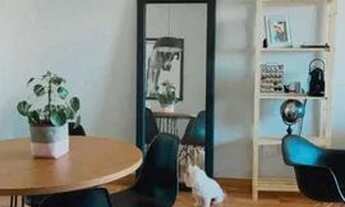 Imagem 4: Apartamento 3 domitórios com suíte elevador e garagem coberta