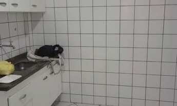 Imagem 4: Alugo apto 2 quartos em cocal